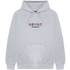 Sudadera Equipaciones Históricas Leones - Gris - Pachanga Club